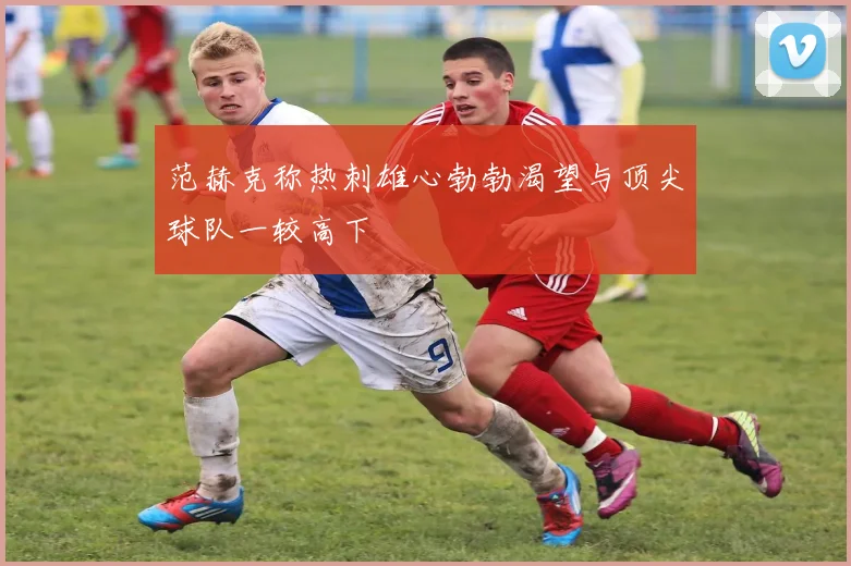 范赫克称热刺雄心勃勃渴望与顶尖球队一较高下